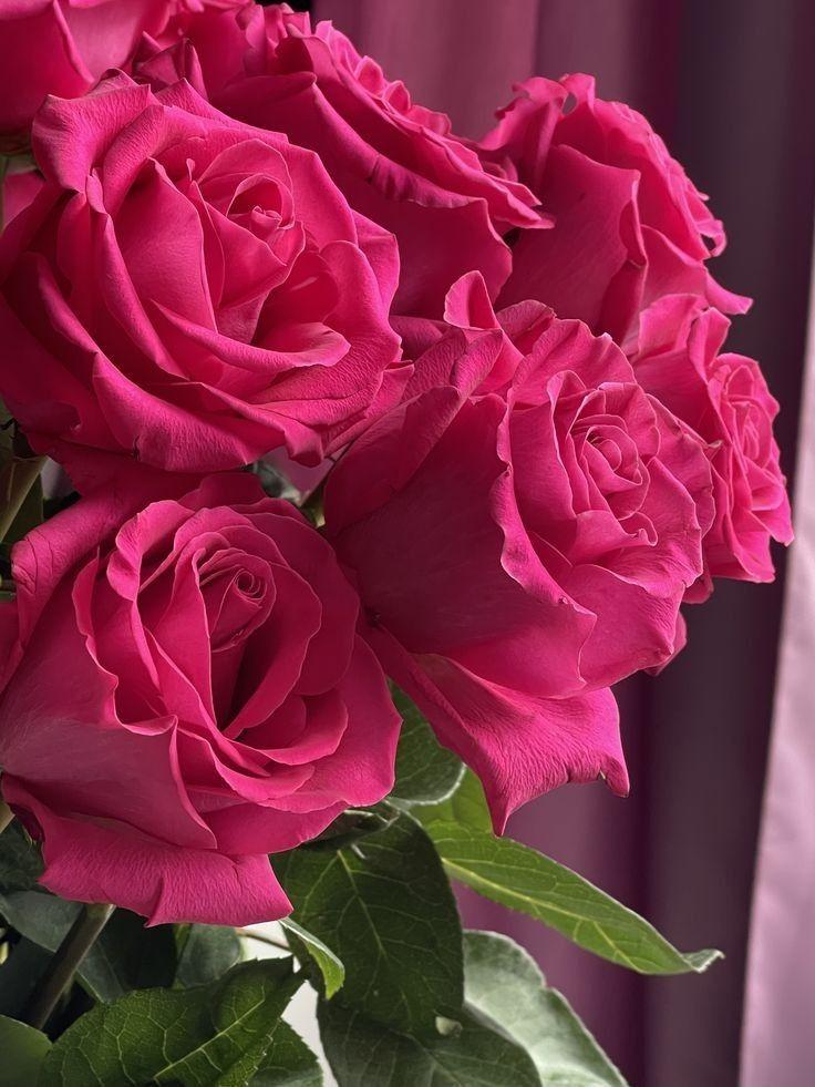 Serenity's Touch Peaceful Petals Cascade